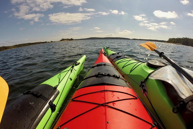 1-Day Small-Group Stockholm Archipelago Kayak Tour - Is $223.82 good value?