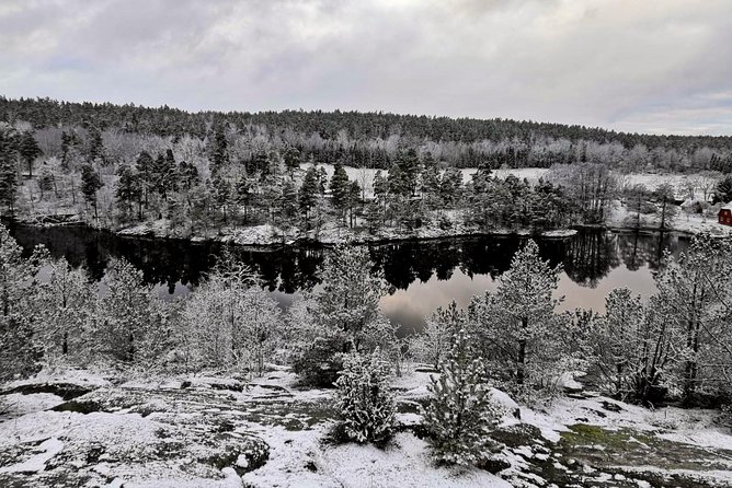 1-Day Small-Group Stockholm Nature Hiking - Snow, ice, and the beaver home