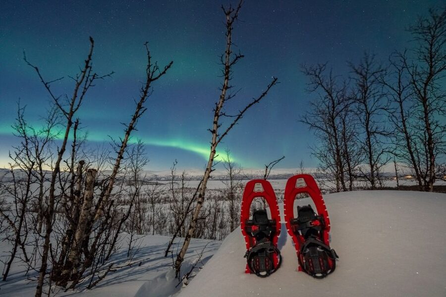 Abisko: Aurora Snowshoeing - Why this feels like a real Arctic night
