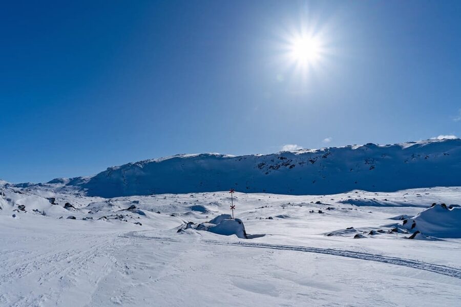 Abisko: Great Outback Snowmobile Tour with Lake Abiskojaure - Key points to know before you book