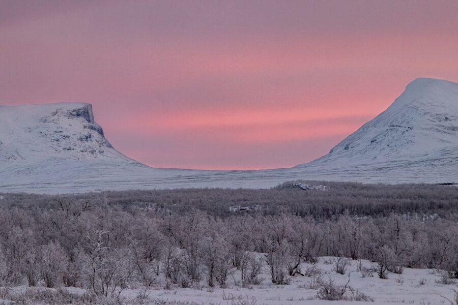 Abisko National Park: Scenic Morning Hike with Transfer - How Much Value Do You Get for $88?