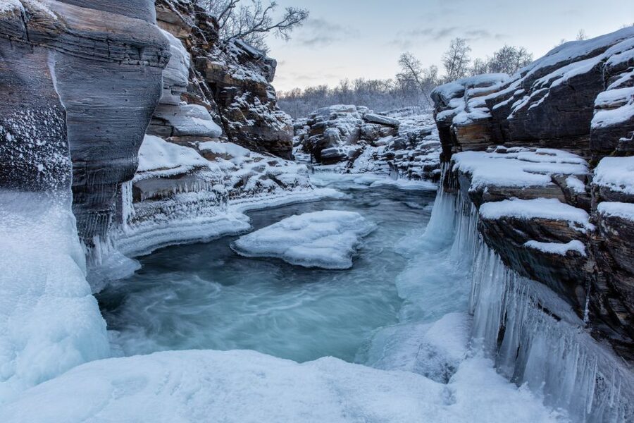 Abisko National Park: Scenic Morning Hike with Transfer - The Right Pace for a Morning in the Park