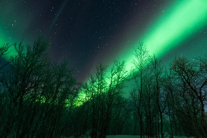 Abisko Northern Lights Tour with Photographer - Why the Abisko sky makes this tour worth considering