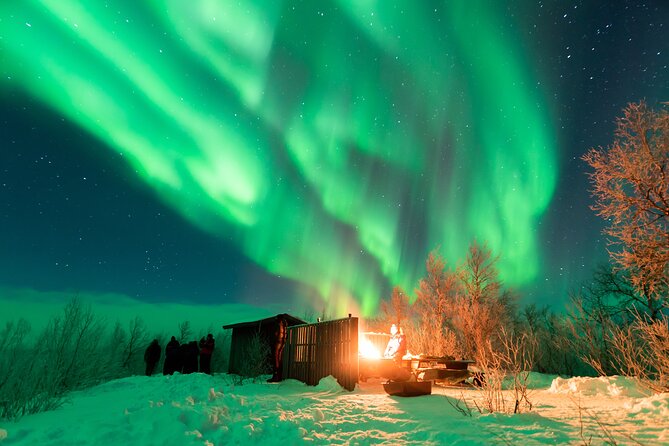 Abisko Northern Lights Tour with Photographer - A campfire changes the feel of the night