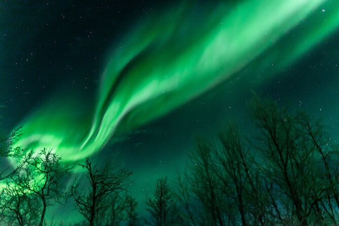Abisko Northern Lights Tour with Photographer - The 7 pm pickup in Abisko