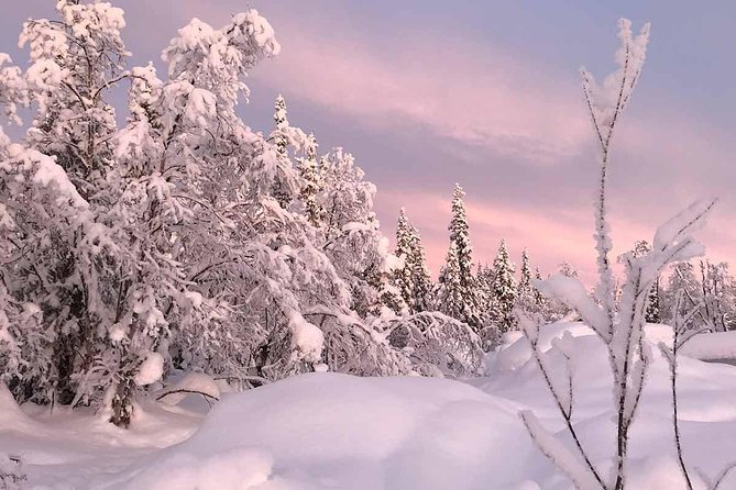 Afternoon Snowmobile Tour - Two riders per snowmobile