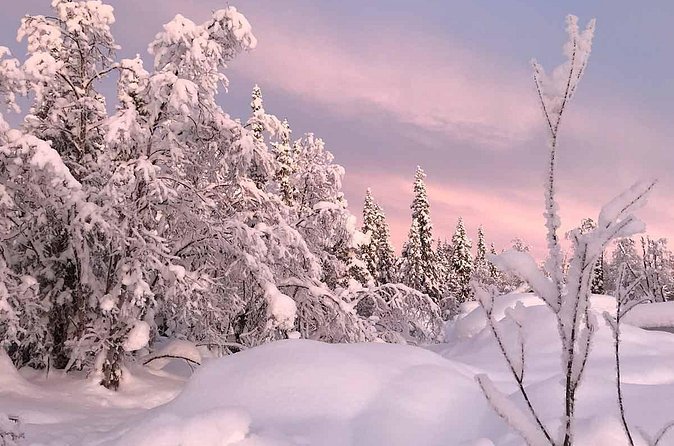 Afternoon Snowmobile Tour - Who will enjoy this most?