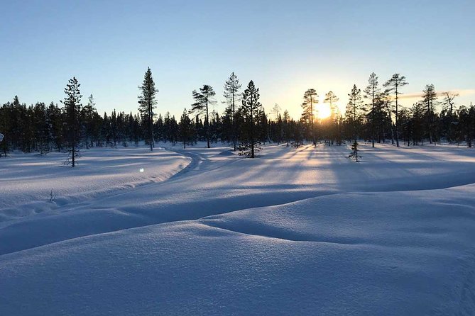 Afternoon Snowmobile Tour - From Torggatan 4 to the forest start