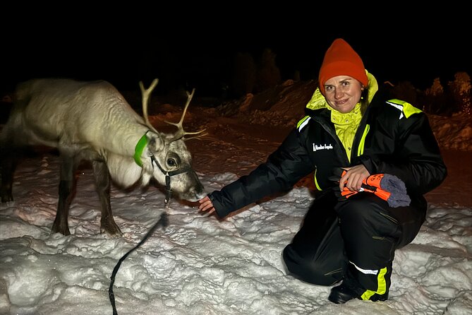 Arctic Adventure with Reindeer and Northern Lights Hunt 18:30 pm - Feeding reindeer in Övre-Soppero