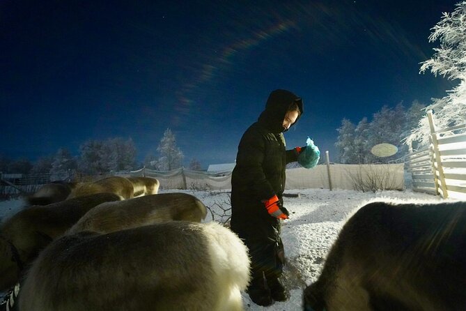 Arctic Adventure with Reindeer and Northern Lights Hunt 18:30 pm - What the five hours feel like
