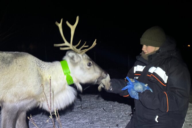 Arctic Adventure with Reindeer and Northern Lights Hunt 18:30 pm - Staying warm for the reindeer stop
