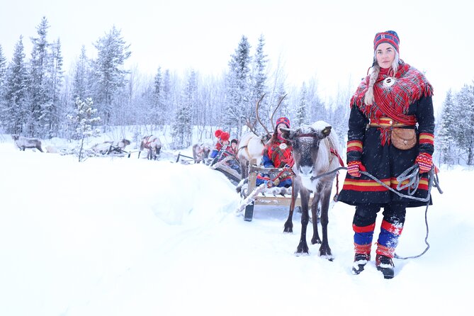 Aurora Hunting with Reindeer Caravan - Key points to know before booking