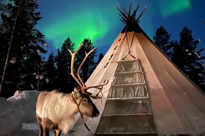 Aurora Hunting with Reindeer Caravan - Leaving Kiruna for the reindeer country