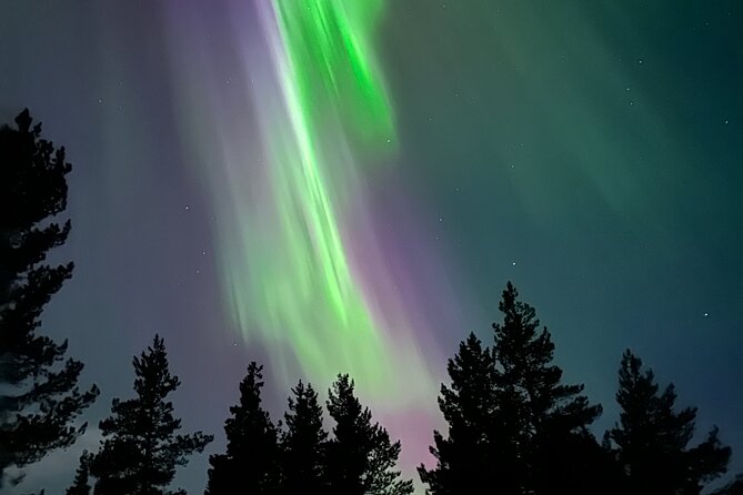 Aurora Hunting with Reindeer Caravan - A quiet sled ride under Kiruna’s winter sky