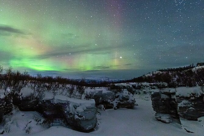 Aurora Tour with Dinner in Abisko - Key points to know before booking