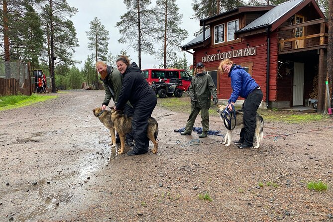Autumn Husky Sit and Drive Cart Tour from Kiruna - Why this autumn husky tour feels different
