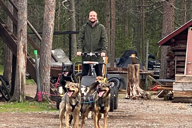 Autumn Husky Sit and Drive Cart Tour from Kiruna - Taking the wheeled cart into the forest
