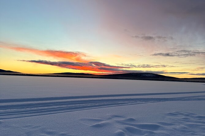 Day tour with snowmobile in Kiruna 10:30 am - Wildlife watching on a moving machine