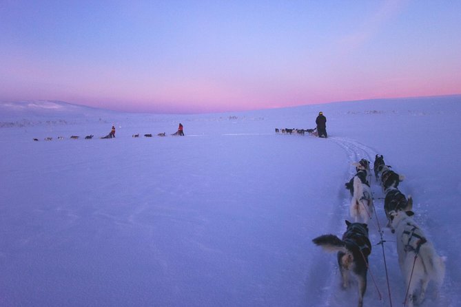Dogsled Adventure Kiruna - Leaving Kiruna for the starting point