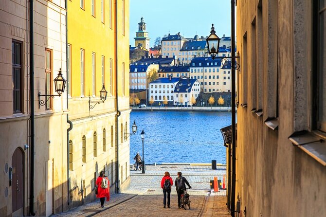 Drottningholm Palace Private Guided Tour - What the guides add to the experience