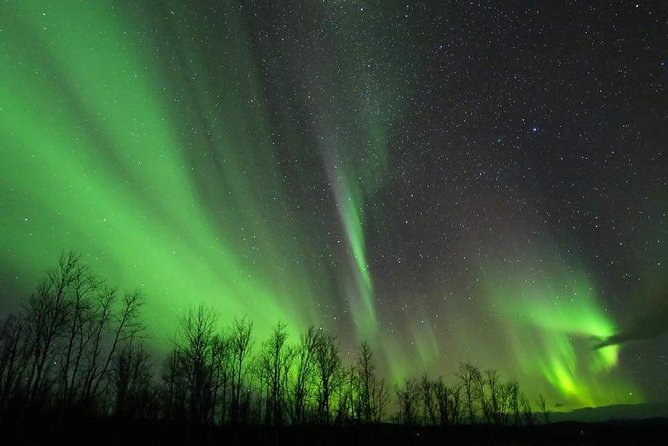 Enjoy the Aurora show on top of the mountain inc tipi dinner - Reaching the mountain top in the dark
