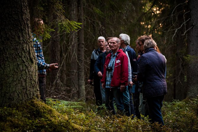 Evening Wildlife Safari Stockholm - Is $165.65 a fair price?