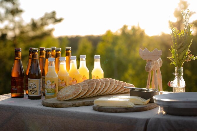 Evening Wildlife Safari Stockholm - Should you book the Evening Wildlife Safari?