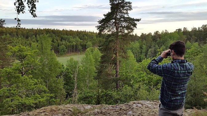 Evening Wildlife Safari Stockholm - A one-hour walk through the forest