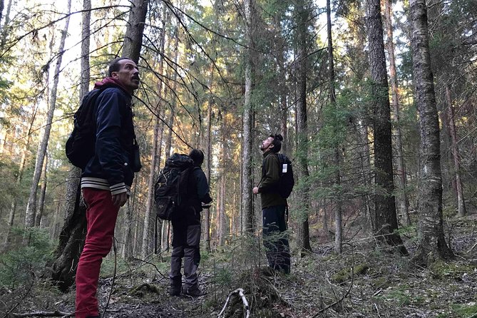 Evening Wildlife Safari with Campfire Dinner from Stockholm - The dusk search for Swedish wildlife