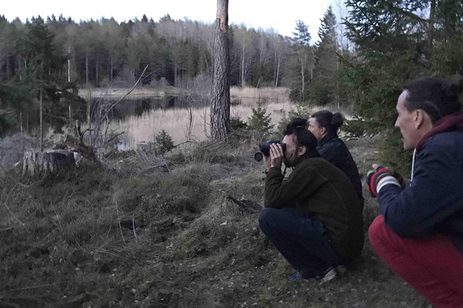 Evening Wildlife Safari with Campfire Dinner from Stockholm - Price, group size, and overall value