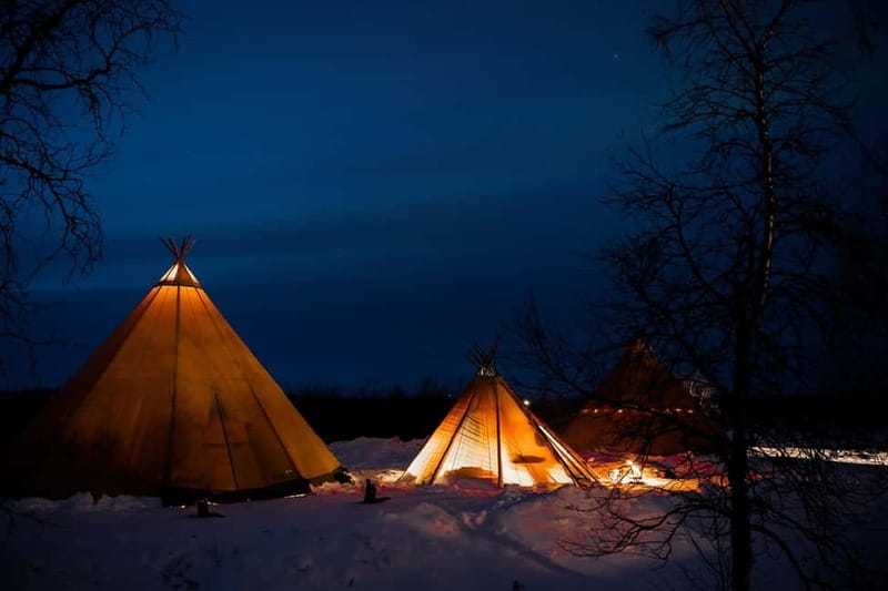 Experience the majestic Auroras Kiruna-Abisko & lodge dinner - Key points to know before you book