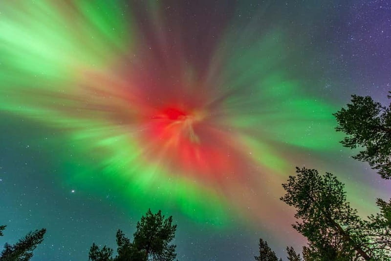 Experience the majestic Auroras Kiruna-Abisko & lodge dinner - A Lapland dinner before the night drive