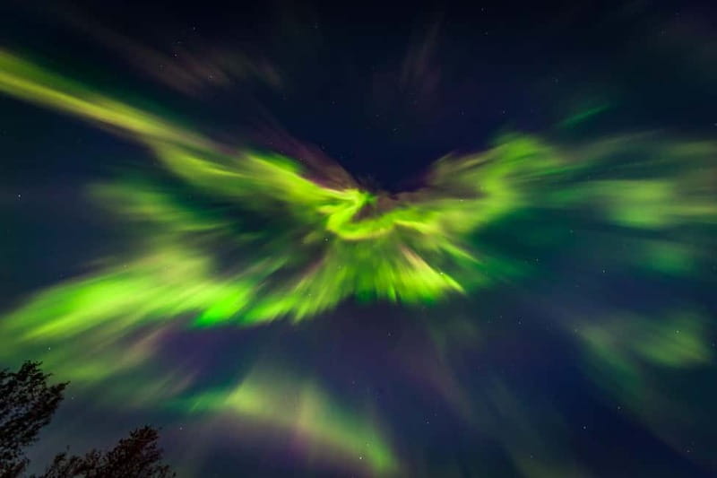 Experience the majestic Auroras Kiruna-Abisko & lodge dinner - Who will get the most from this outing