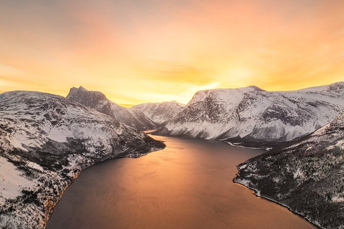 Explore the Norwegian Fjords and the Wildlife From Abisko - What you might see along the fjords