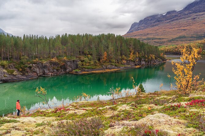 Explore the Norwegian Fjords and the Wildlife From Abisko - Timing, weather, and what to expect