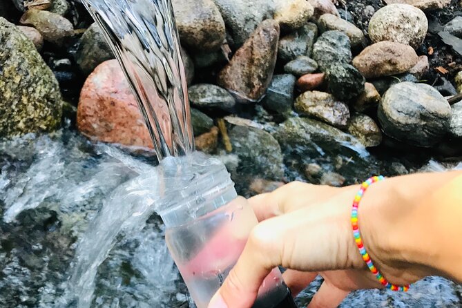 Forestbathing Slow Walking and Healing Spring Water, Stockholm - From Central Stockholm to Nackareservatet