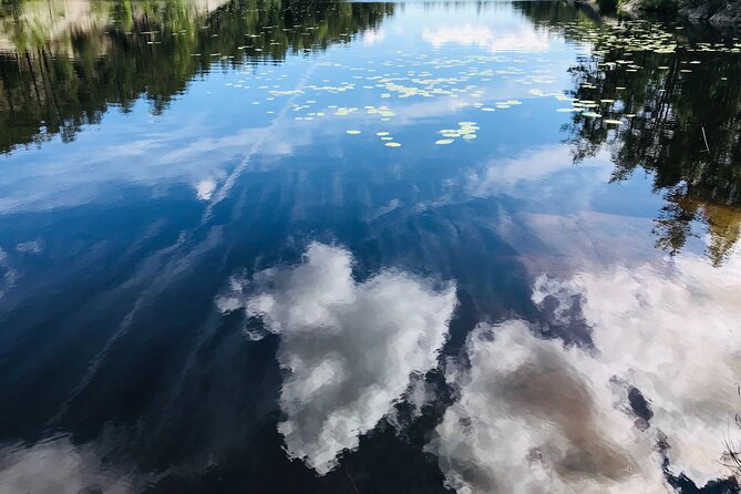 Forestbathing Slow Walking and Healing Spring Water, Stockholm - Weather, cancellation, and useful preparation