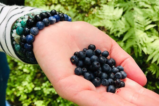 Forestbathing Slow Walking and Healing Spring Water, Stockholm - The lake, fika, and time to slow down