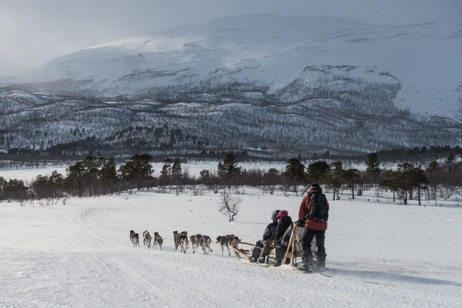 From Abisko: Dog Sledding Excursion to Kiruna with Fika - Key points to know before you book