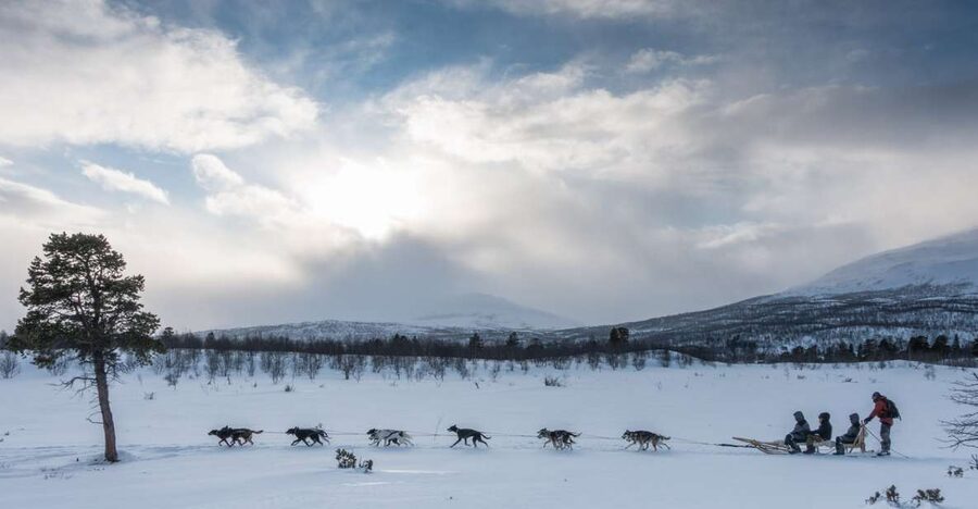 From Abisko: Dog Sledding Excursion to Kiruna with Fika - Food, clothing, and simple preparation