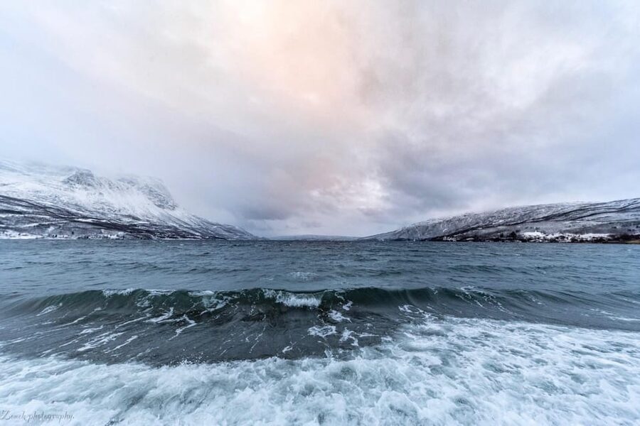From Kiruna: Narvik City and Fjord Day Trip - Narvik Fjord and the views around the city