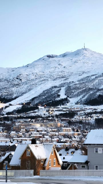 From Kiruna: Narvik City and Fjord Day Trip - Abisko National Park and Lake Torneträsk