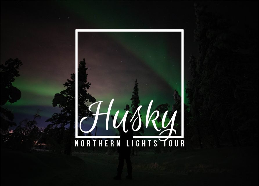 From Kiruna: Northern Lights Guided Husky Sledding Adventure - Why this Kiruna husky ride feels special