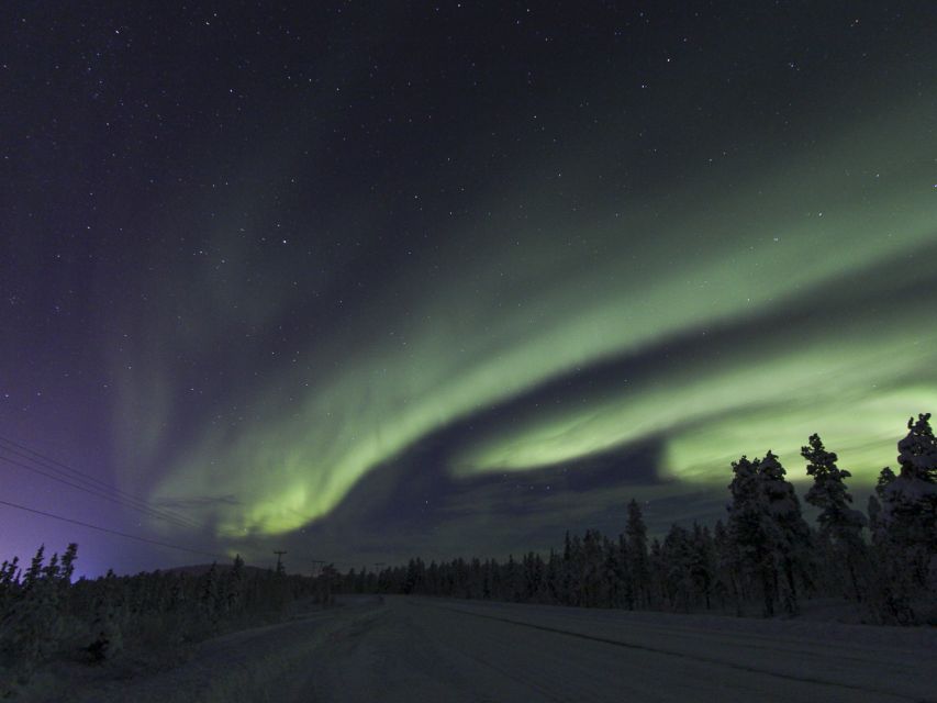 From Kiruna: Northern Lights Guided Husky Sledding Adventure - Meeting the huskies at the Kalixforsbron base