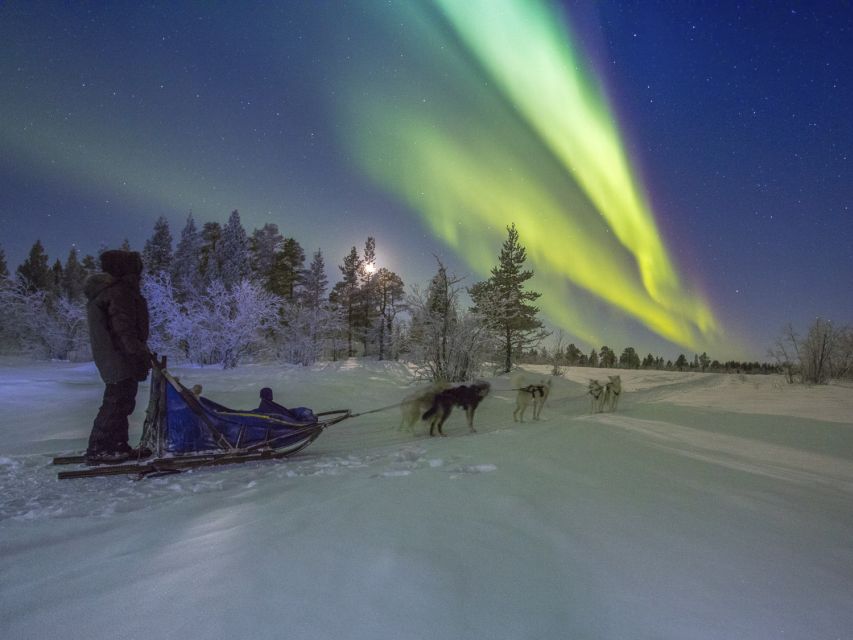 From Kiruna: Northern Lights Guided Husky Sledding Adventure - Winter clothing and the safety briefing