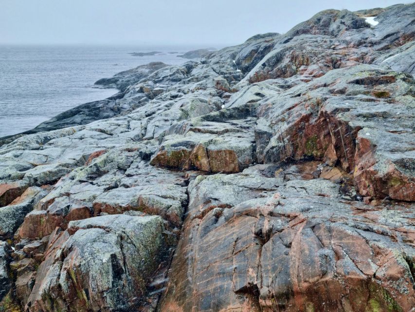 From Stockholm: Archipelago Hike to Landsort Lighthouse - Lunch, fika, and a possible island barbecue