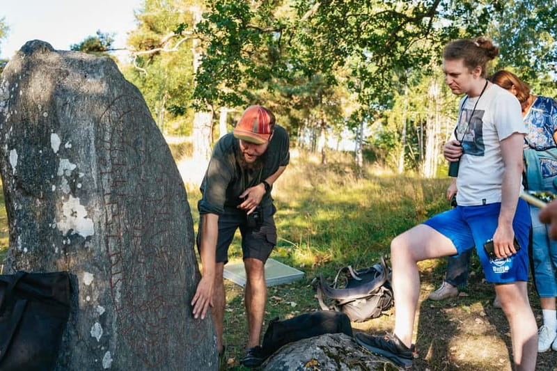 From Stockholm: Moose & Wildlife Safari with Campfire Dinner - Key points to know before you book