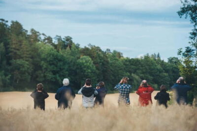 From Stockholm: Moose & Wildlife Safari with Campfire Dinner