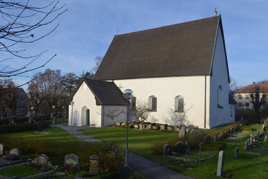 From Stockholm: Uppsala and Sigtuna Viking Sites Tour - Why this is more than a Viking photo tour