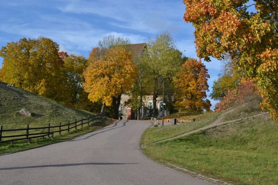 From Stockholm: Uppsala and Sigtuna Viking Sites Tour - How the small bus changes the experience